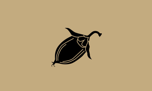 Huile de Jojoba