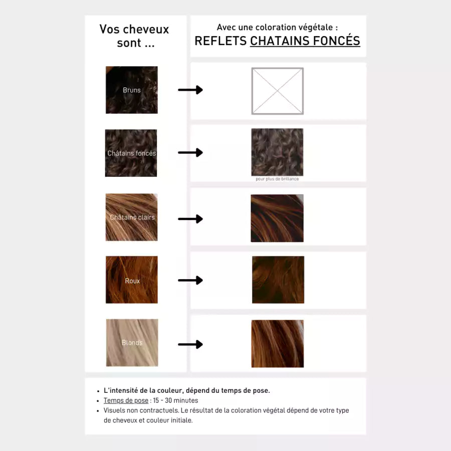 nuancier coloration reflets chatains foncés serge d'estel paris