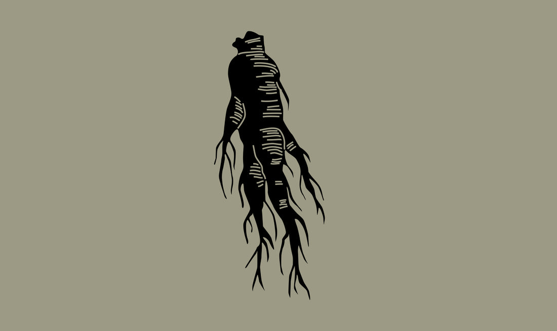 Ginseng