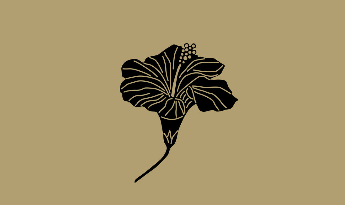 Fleurs d'hibiscus