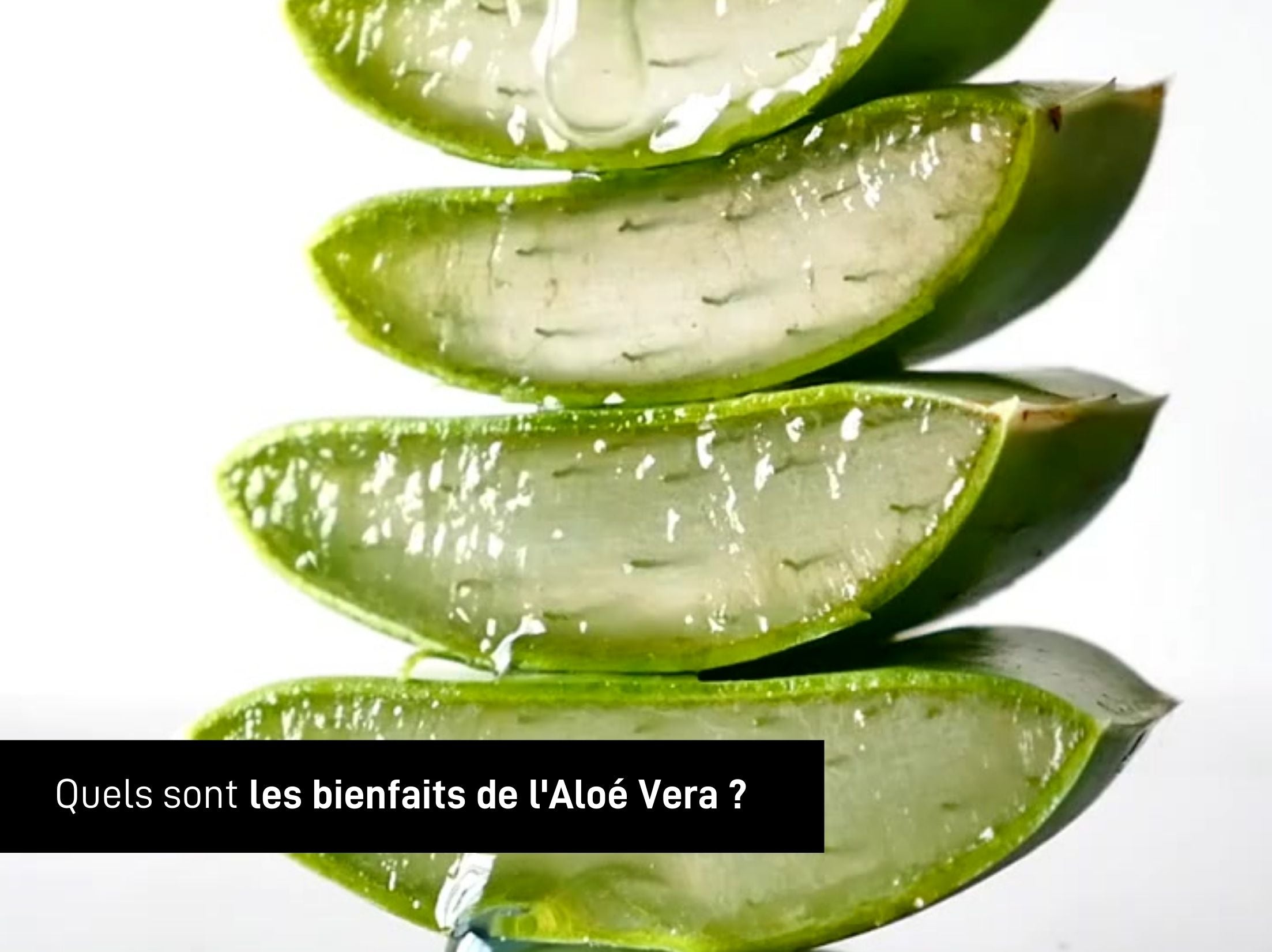 bients de l'aloe vera serge d'estel paris