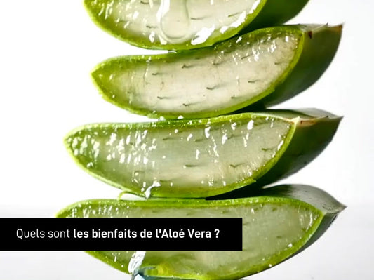 bients de l'aloe vera serge d'estel paris