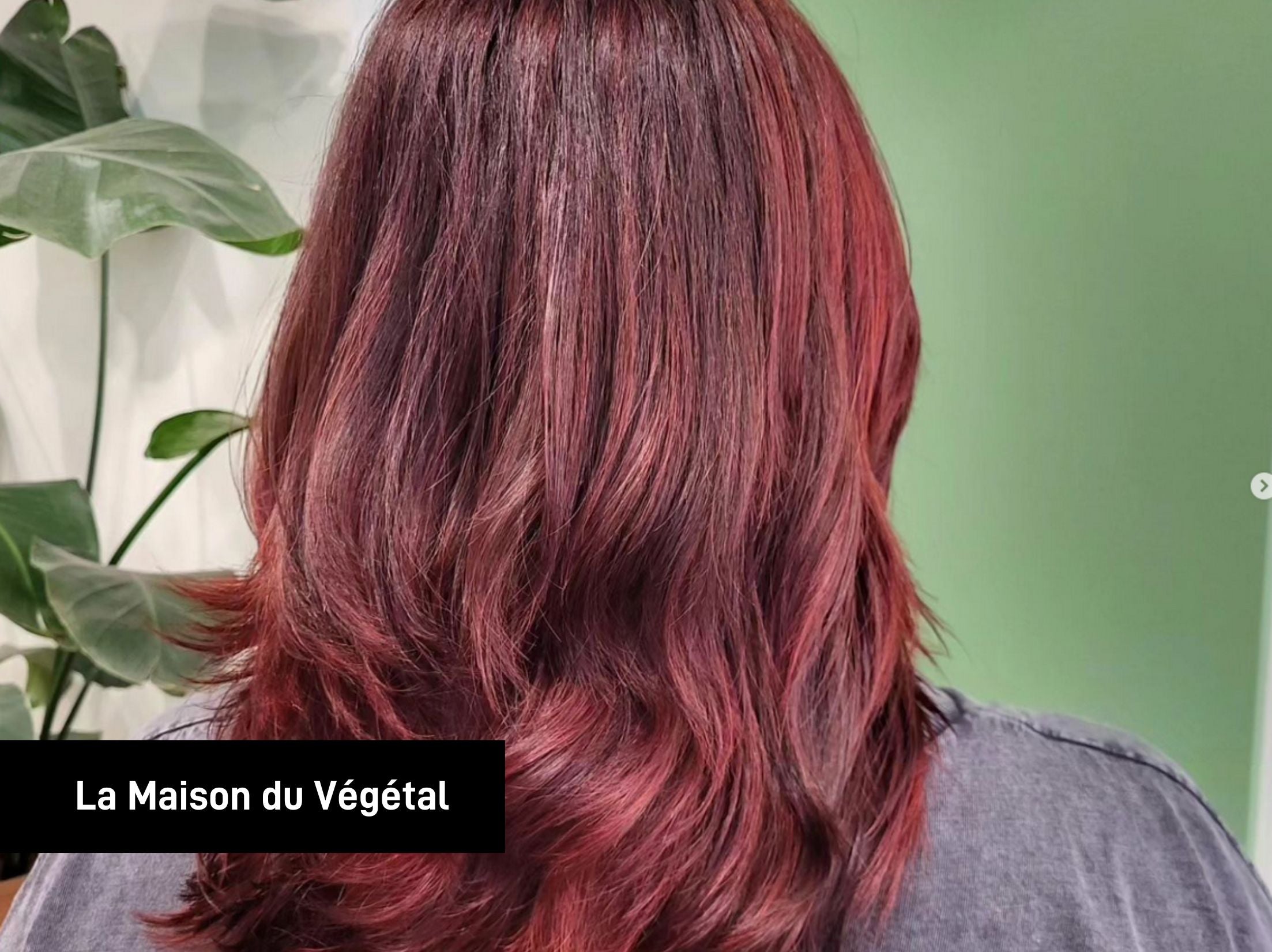 La Maison du végétal