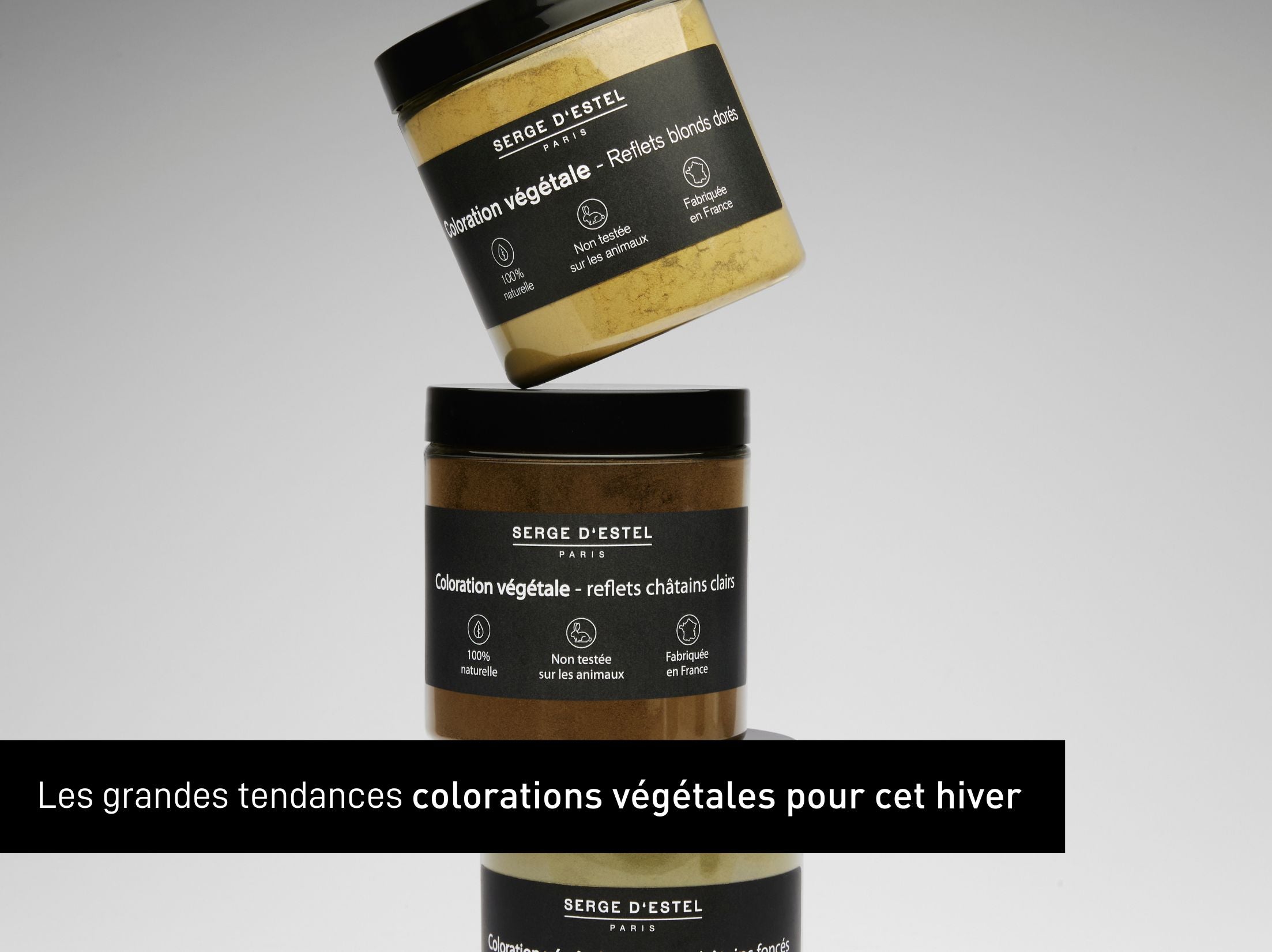 Les grandes tendances colorations végétales pour cet hiver