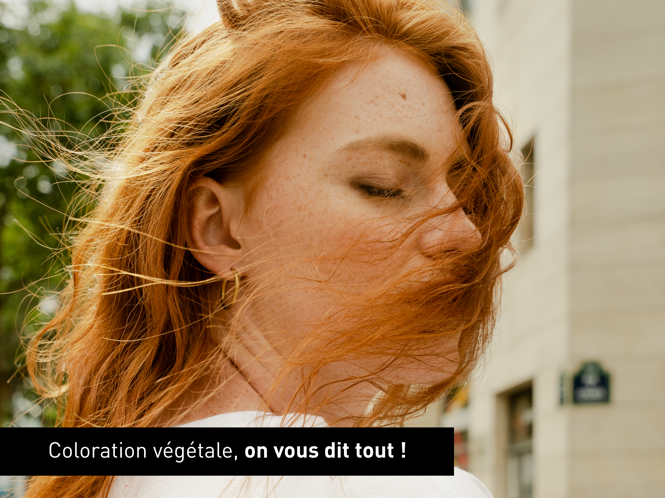 Coloration végétale : on vous dit tout !