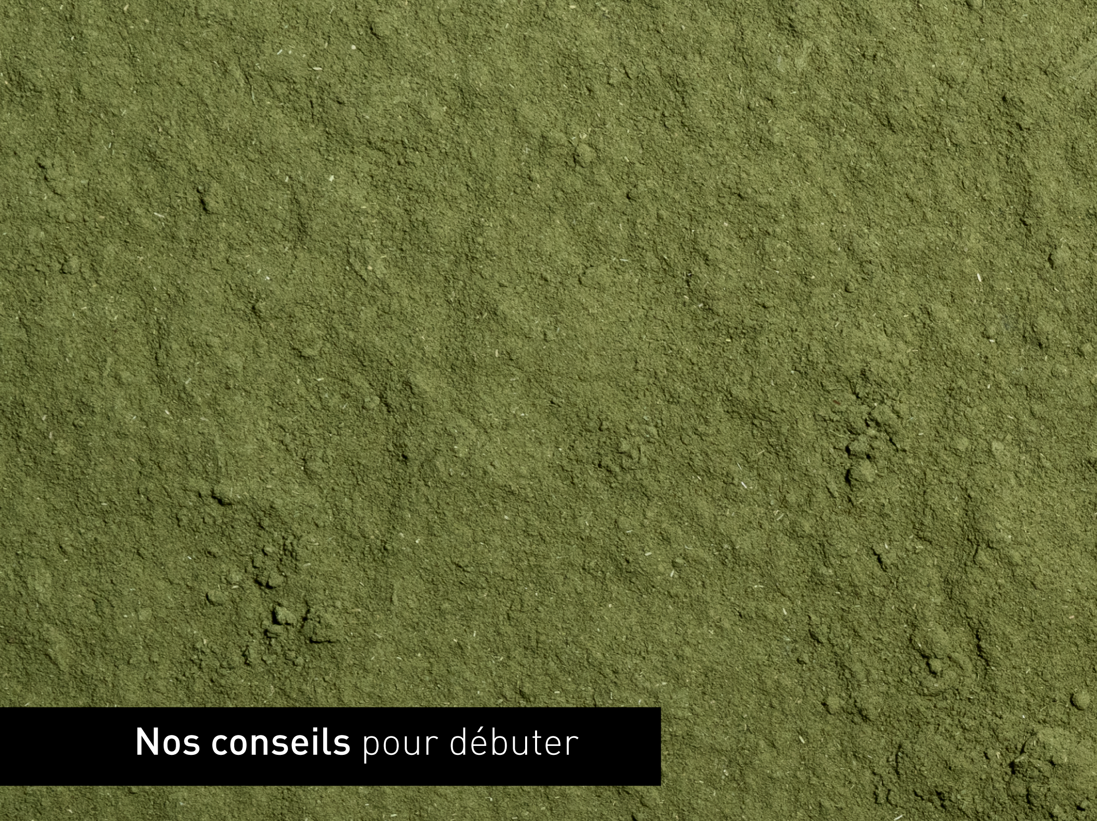 Conseils pour débuter sa transition capillaire