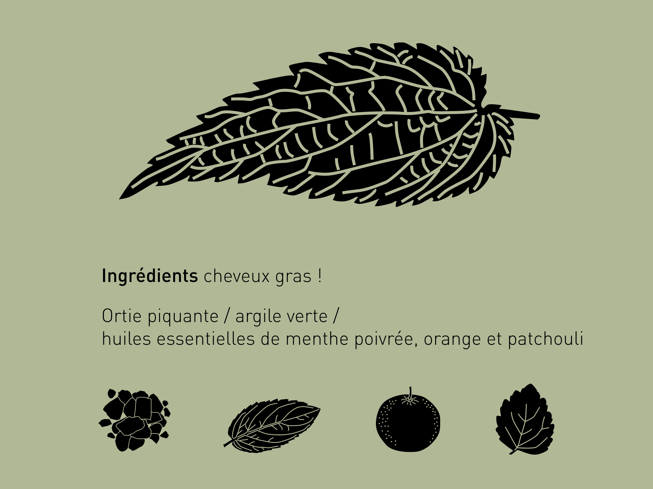 Ingrédients pour cheveux gras